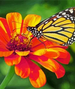 Butterfly On Zinnia paint by numbers