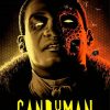 Candyman Horror Movie paint by numbers