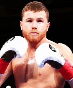 Canelo Alvarez Boxer paint by numbers