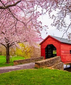 Cherry Blossom Carroll Creek Covered Bridge paint by number