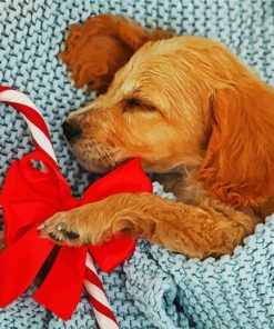 Cocker Spaniel Puppy paint by number