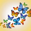 Colored Butterflies paint by numbers