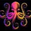 Colorful Octopus paint by number