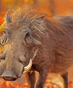 Common Warthog Animal paint by numbers