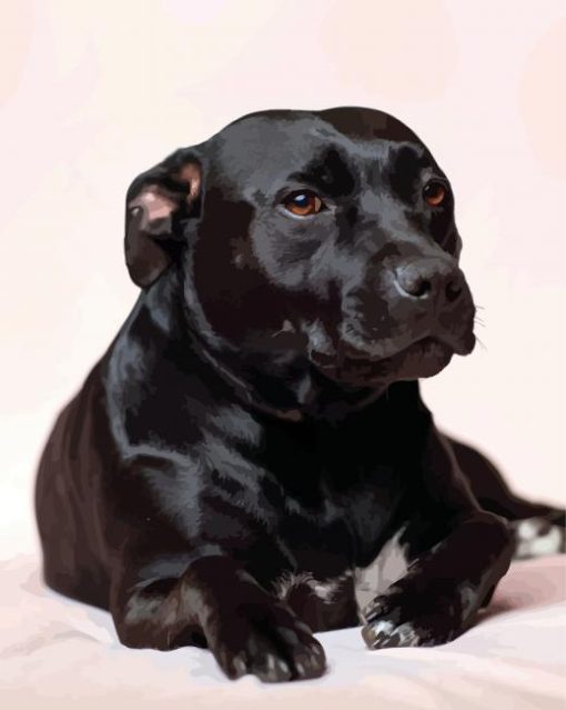 Dark Brown Staffordshire Bull Terrier paint by numbers