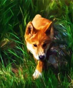 Dingo Wild Dog paint by numbers