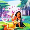 Disney Princess Pocahontas Film paint by number