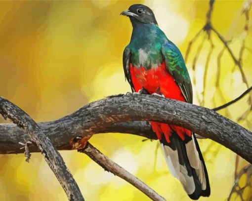 Eared Quetzal Bird paint by numbers