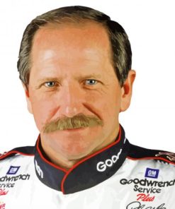 Earnhardt Dale Race Car Driver paint by number