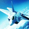 F22 Raptor paint by numbers