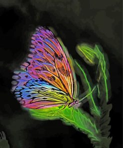 Fantasy Butterfly paint by number