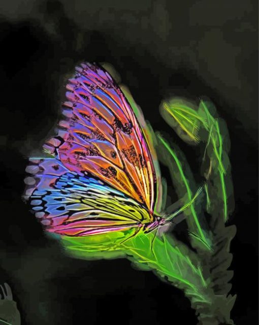 Fantasy Butterfly paint by number