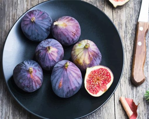 Figs Plate paint by numbers