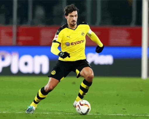 Football Player Mats Hummels paint by numbers