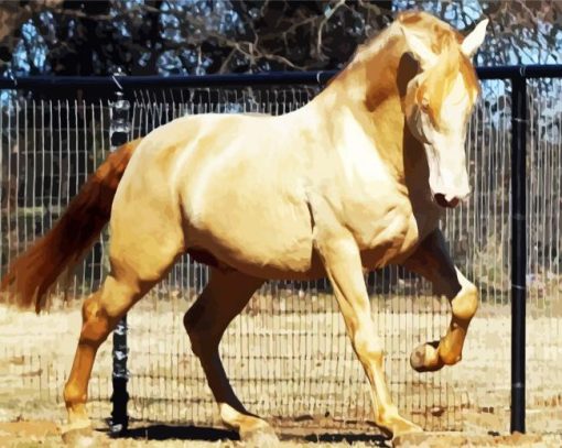 Golden Andalusian Horse paint by number