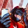 Gorilla Taking Selfie paint by numbers