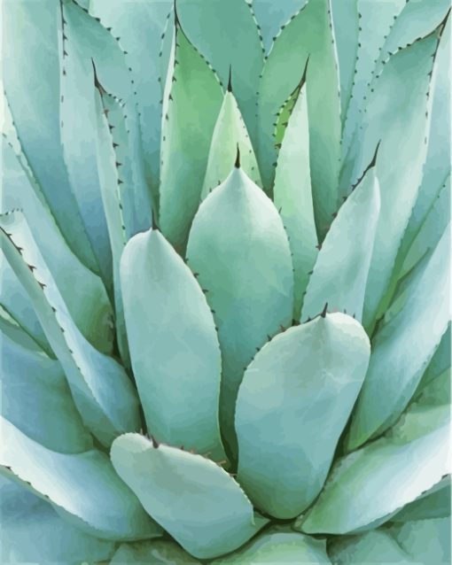 Green Agave Plant paint by numbers