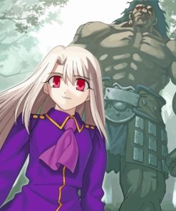 Illyasviel Von Einzbern And Berserker Fate Game paint by numbers