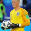 Jordan Pickford paint by number