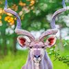 Kudu Animal paint by numbers