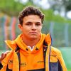 Lando Norris paint by number