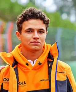 Lando Norris paint by number