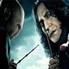 Lord Voldemort And Professor Servus paint by numbers