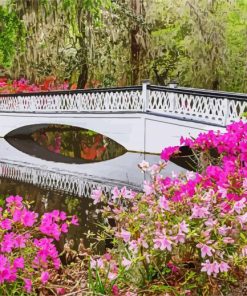 Magnolia Plantation And Gardens Charleston paint by number