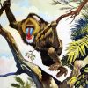 Mandrill In Jungle paint by numbers