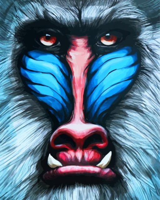 Mandrill Monkey Face paint by numbers