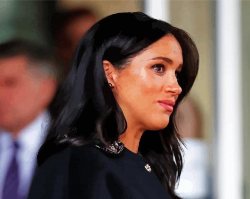 Meghan Duchess Of Sussex paint by numbers