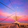 Milwaukee Art Museum At Sunset paint by number