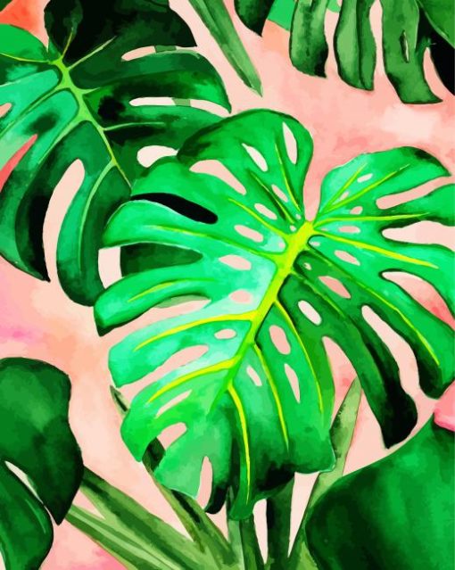 Monstera Plant Leaves paint by number