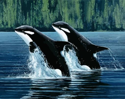 Mother And Son Orca paint by number