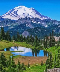 Mountain Rainier Washington paint by numbers