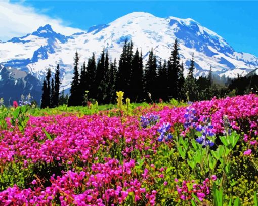 Mt Rainier paint by number