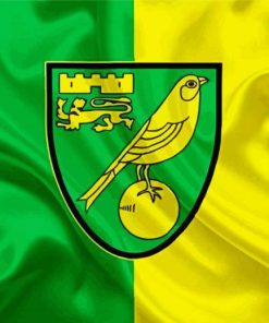 Norwich City Football Club Logo paint by numbers