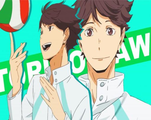 Oikawa Haikyuu Anime paint by number