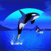 Orca Jumping paint by number