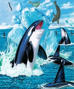 Orcas And Seals paint by number