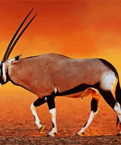 Oryx Animal paint by numbers