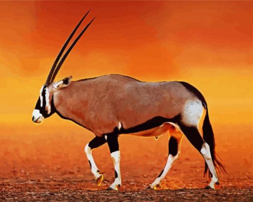 Oryx Animal paint by numbers