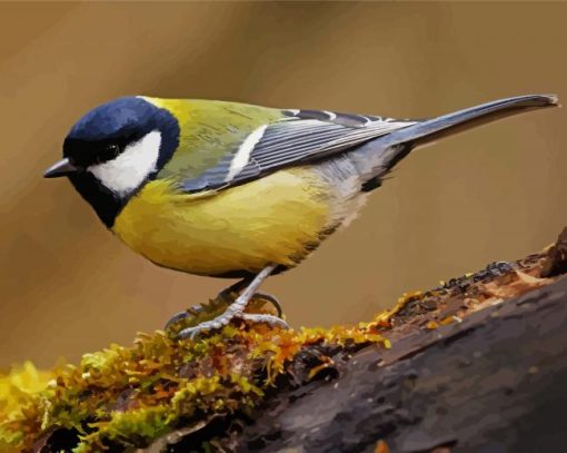 Parus Bird paint by number