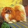 Pekingese Dog Art paint by number