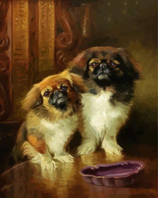 Pekingese Dogs paint by number