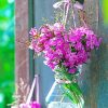 Phlox In Glass Vase paint by number