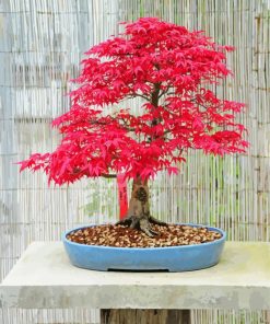 Pink Bonsai Tree paint by number