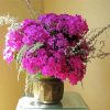 Pink Phlox Vase paint by number