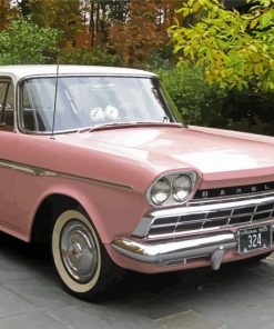 Pink Rambler Car paint by number