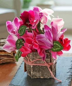 Pink Cyclamen paint by number